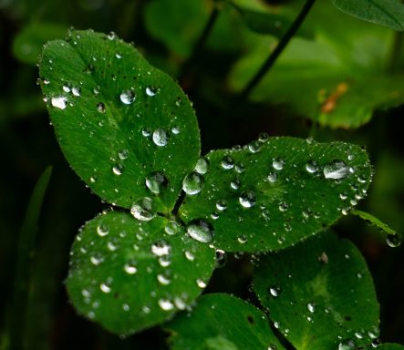 Ein Moment voll Leben